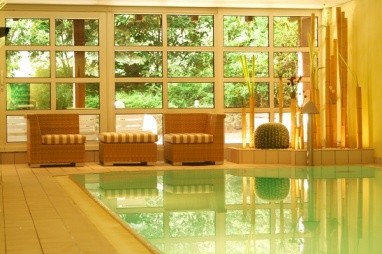 Atrium Hotel Mainz: 泳池