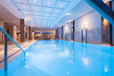 Atrium Hotel Mainz: 泳池