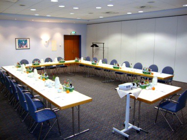 PLAZA HOTEL Hanau: Sala de conferencia