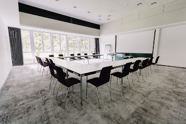Parkhotel Fritz am Brunnen: Toplantı Odası