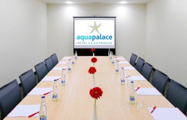 Aquapalace Hotel Prague: Toplantı Odası