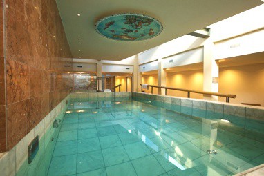 Grand Hotel Karel V: 泳池