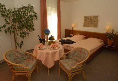 Hotel Dorotheenhof Cottbus: Room