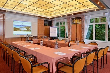 Seehotel Maria Laach: Sala de conferências