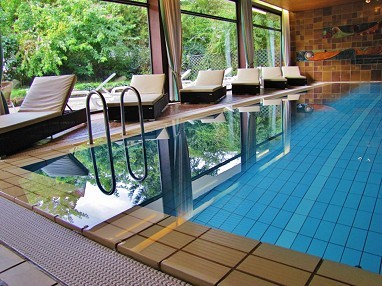 Hotel Kloster Hirsau: 泳池
