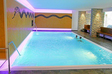 Hotel Ochsen: 泳池