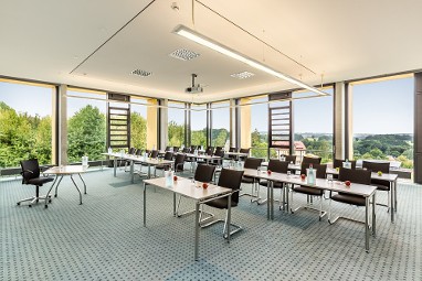 rugs Hotel am Schlosspark Lichtenwalde: Toplantı Odası