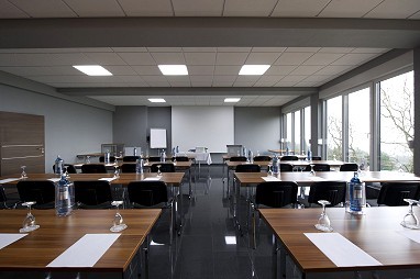Design-Konferenzhotel & Restaurant Steinernes Schweinchen: Salle de réunion