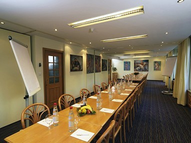 GAIA Hotel Basel: Sala de conferências