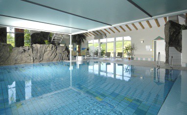 Hotel Becksteiner Rebenhof: 泳池