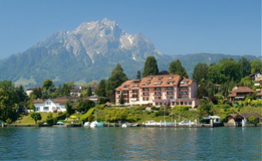Swiss Quality Seehotel Kastanienbaum : 外景视图