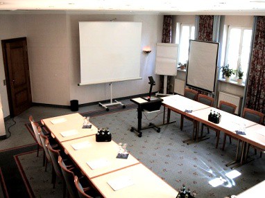 Hotel Limmerhof: 회의실