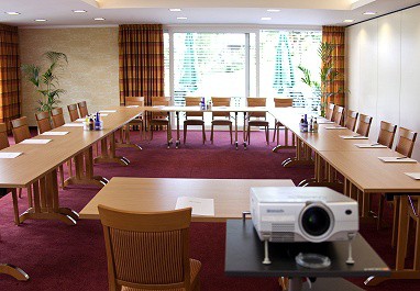 Hotel Birkenhof am Park: Toplantı Odası
