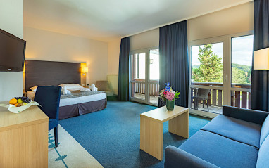 Hotel Rhön Residence: Room