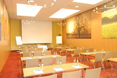 Hotel Vitalis: конференц-зал