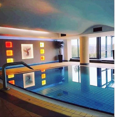 PHÖNIX Hotel: 泳池