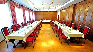 Hotel Alexandra Plauen: Meeting Room