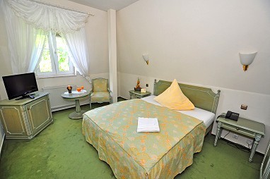 Hotel Alexandra Plauen: Room