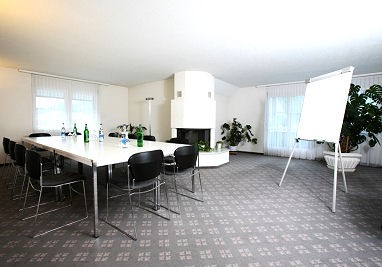 Hotel Winkelried: 회의실