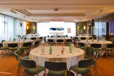 Royal Plaza Montreux & Spa: Toplantı Odası