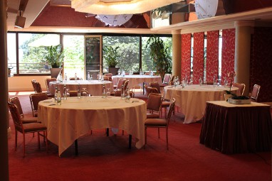 Royal Plaza Montreux & Spa: Sala de conferências