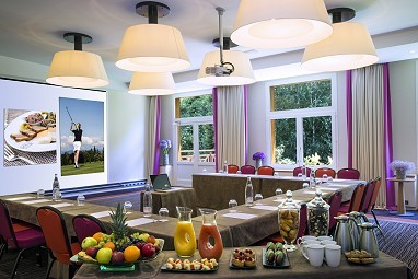 Evian Resort ERMITAGE: Sala na spotkanie