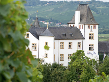 Victor´s Residenz-Hotel Schloss Berg: 休闲