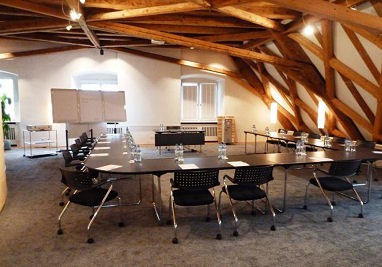 Seminarhotel Bocken: Sala de conferências