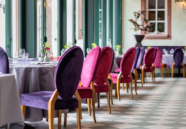 Romantik Hotel Landschloss Fasanerie: vergaderruimte