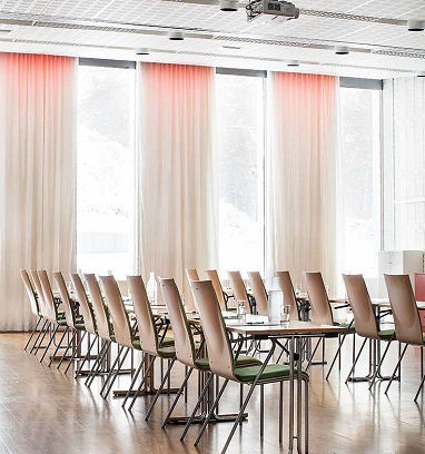 Bergendal Meetings: конференц-зал