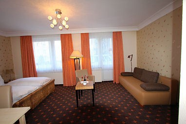 Hotel Alt Graz : 客室