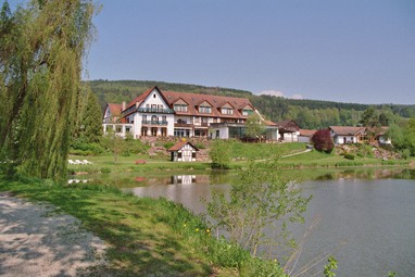 Seehotel Gut Dürnhof: Vista externa