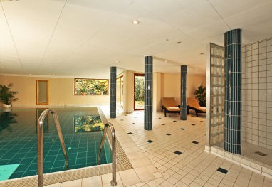 Hotel Restaurant Adler: 泳池