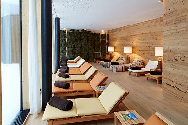 Falkensteiner Hotel Schladming : Bien être/Spa
