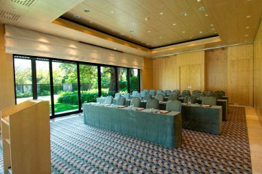Vineyard Hotel : Sala de reuniões