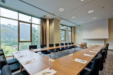 Das Lebenberg Schlosshotel: Meeting Room