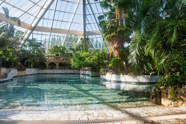 Center Parcs de Eemhof: Pool
