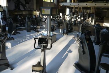 ESSENSIO Hotel : Fitnesscenter