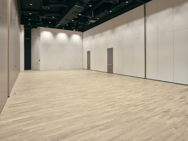Gurgl Carat: Sala de conferências