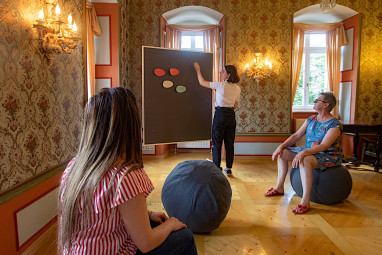 Schloss Sennfeld: Meeting Room