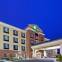 Holiday Inn Express & Suites DETROIT - UTICA