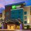 Holiday Inn Express & Suites HOUSTON S - MEDICAL CTR AREA